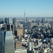 東京スカイツリーを丸の内のビル群の向うに望む。