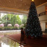 中から玄関を見る。　