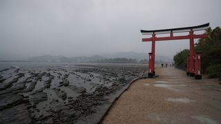 あいにく雨でした