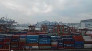 のんびりした散歩コース