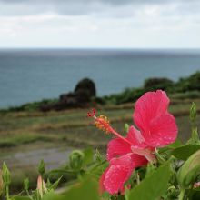 もう少し天気がよければーーー！