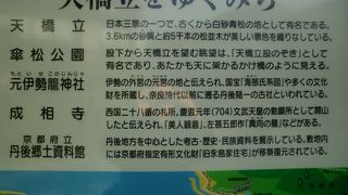 天橋立の松林を徒歩で・・・ナイス！