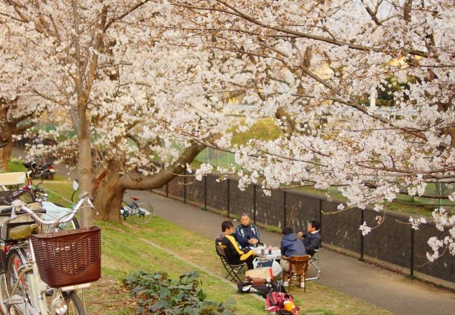 多摩川緑地福生南公園 クチコミ アクセス 営業時間 福生 武蔵村山 フォートラベル 多摩川緑地福生南公園 クチコミ アクセス 営業時間 福生 武蔵村山 フォートラベル