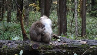 上高地ハイキング 