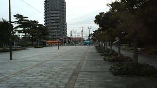 堺の冬でも見どころ多い静かな公園