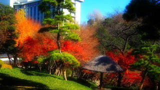 自然の丘陵と小川跡を利用してつくられた　八芳園 （はっぽうえん） 庭園