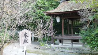 歴史の長い神社！