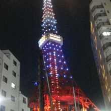 タワーの足元まで見えます