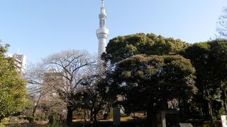 下町の憩いの場ですね♪(´▽`)ノ