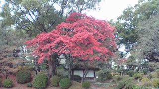 県立美術館の帰りに立ち寄りたい