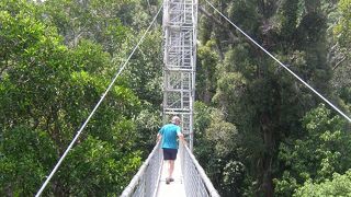 現地の日帰りツアーで行きました。森を満喫
