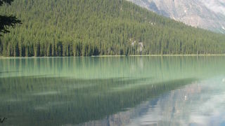 見る度に表情が変わる