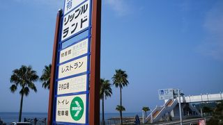 タコ街道の充実スポット