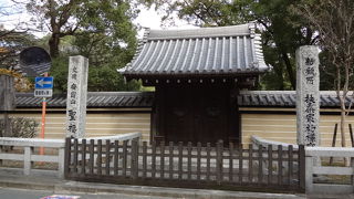 見ごたえ充分！