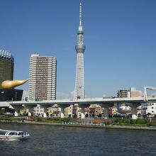 隅田川を挟んで眺めるスカイツリー