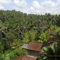 ベランダからの眺望