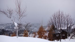 初心者にはお勧め