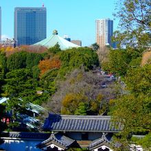 天守台から見た　北桔橋門（手前）　と　日本武道館