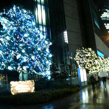 雨の日、濡れた路面に写る光もまたきれいです。
