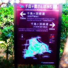 千鳥ケ渕さんぽみち