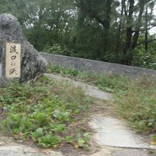 走る車の中から撮りました