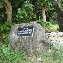 2010年11月工事が終わり石垣が出来ていました