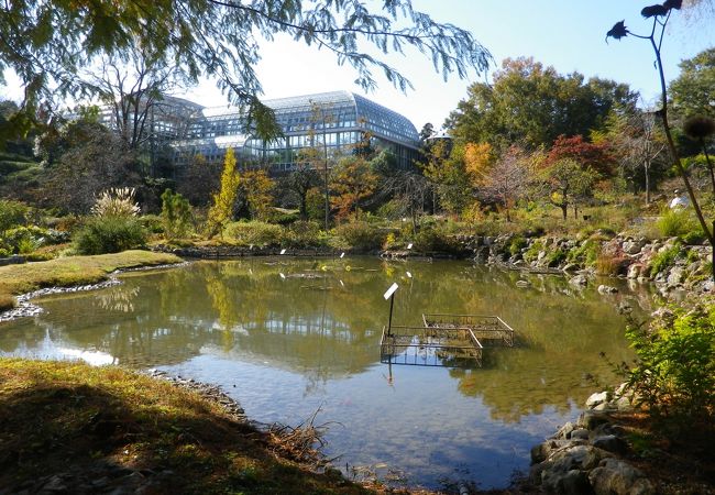 牧野植物園