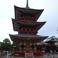 鮮やかな色です