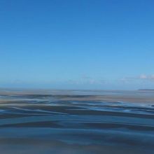 潮の満ち引きの跡が波のよう。