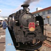 サボ 愛称板】（表）SLニセコ号 2006 札幌−蘭越 指定席（裏）白