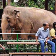 意外に多い動物の種類。静けさも魅力。日程次第だが、お勧めだ