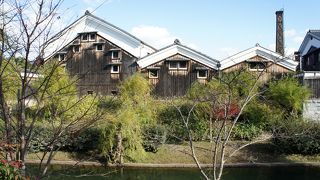 伏見十石舟が発着したという濠川沿い