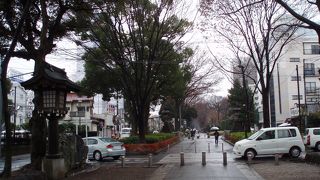 一の鳥居から氷川神社境内まで２キロメートルもありま～す。