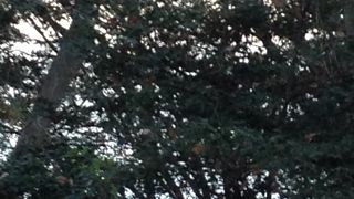 寂しい感じが良い…