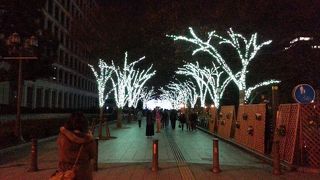 御堂筋から繋がる光のルネサンス