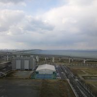 客室からの眺め