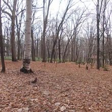 自然に満ち溢れたエリアです