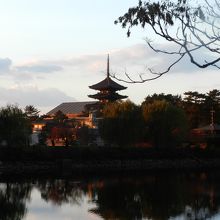 「荒池」と興福寺五重塔