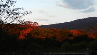 紅葉時期の夕暮に通ると驚くほど素晴らしい風景が見られるかも...