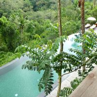 レストランから見えるプール