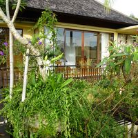 お部屋のプールから