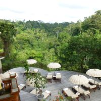 レストランから