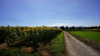 せっかくここまで