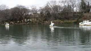 公園のシンボル。