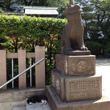 ネコちゃんも時々見かけます