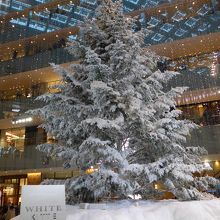 高さ14.5ｍの日本最大級の雪で覆われたクリスマスツリー