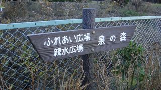 自然に恵まれた公園