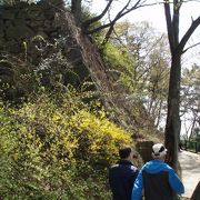 釜山市内で気軽に訪問できる日本の城跡・・・