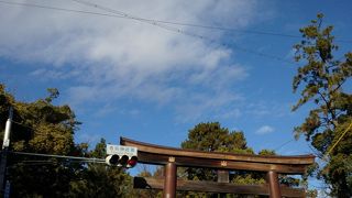 豊国神社のある公園です!!