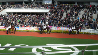 有馬記念で阪神競馬場へ行ってきた。綺麗で驚いた。